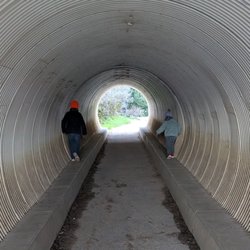 McWay Falls - Tunnel that takes you underneath the highway to McWay Falls