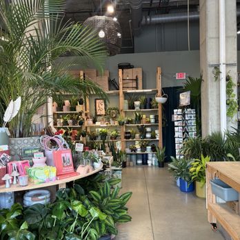 PlantHouse - Shop area - Nurseries & Gardening Near Me - Richmond, Virginia