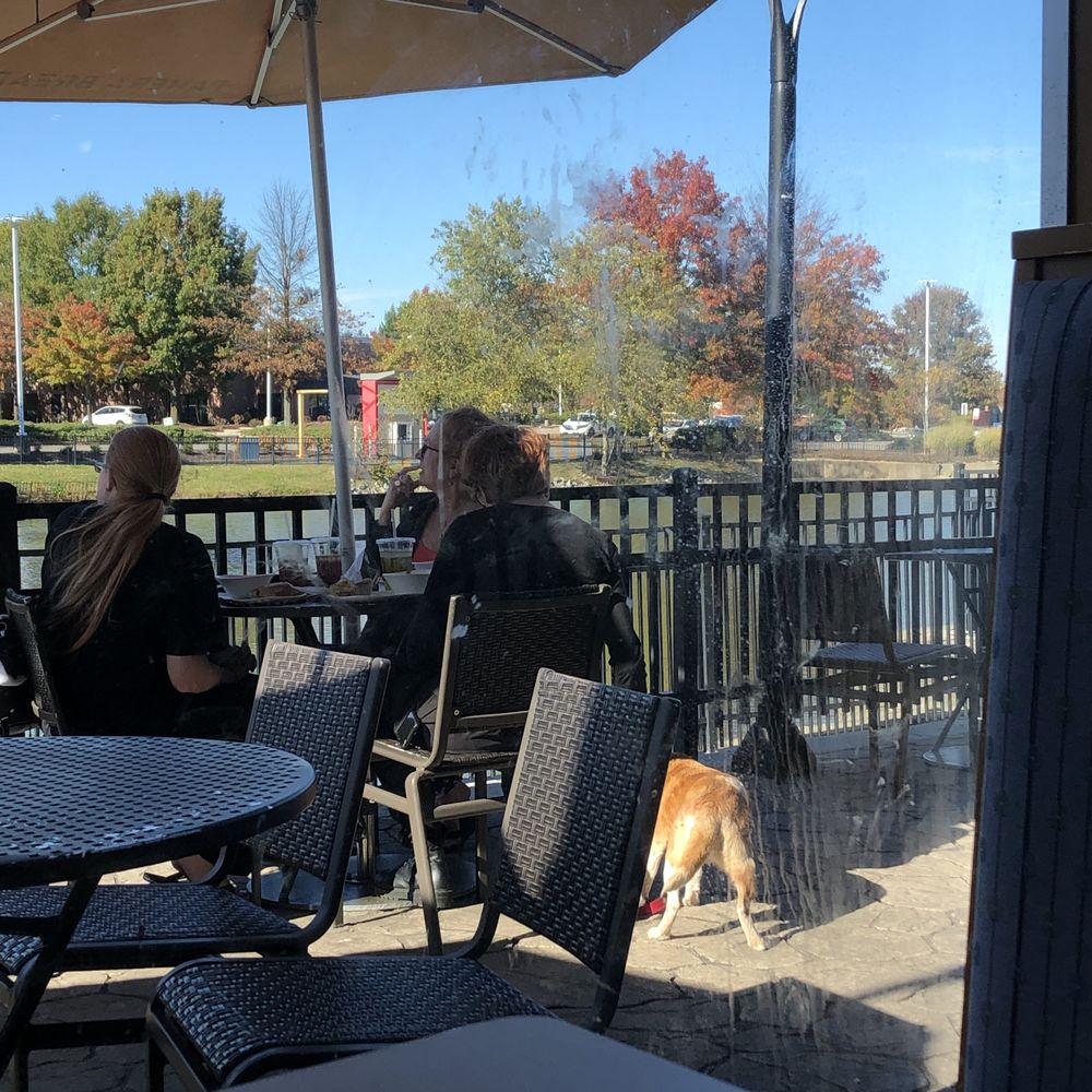 Panera Bread - Outside seating area for dog owners! - Sandwiches Near Me - Glen Allen, Virginia Panera Bread - Outside seating area for dog owners! - Sandwiches Near Me - Glen Allen, Virginia