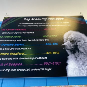 Disco Paws - Grooming Prices - Pet Groomers Near Me - Astoria, New York