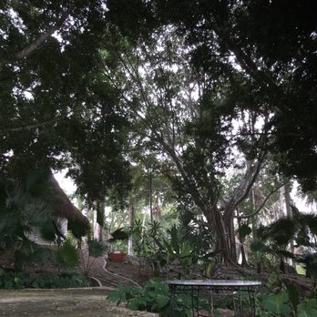 Mayaland Hotel & Bungalows - Resorts Near Me - Yucatán, YUC