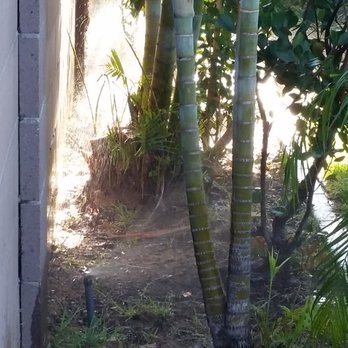 SoCal Sprinkler Solutions - Sprinklers repaired! - Irrigation Near Me SoCal Sprinkler Solutions - Sprinklers repaired! - Irrigation Near Me