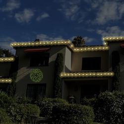Bee Merry Christmas Lights