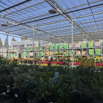The Home Depot - Nurseries & Gardening Near Me - Hayward, California