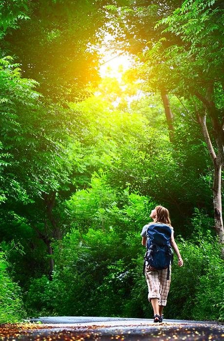 Walk It Out Now - grief counselor in Delmar, NY