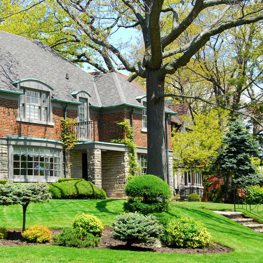 Bartlett Tree Experts - tree service in Carlisle, PA