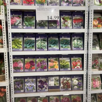 Costco - A nice assortment of spring flower bulbs - Wholesale Stores Near Me - Harrisburg, Pennsylvania