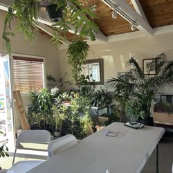 The Planted Parlour - Classroom space