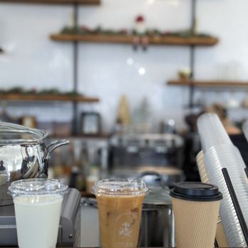 Freckleberry Teahouse - a coffee shop counter - Coffee & Tea Near Me - Galveston, Texas Freckleberry Teahouse - a coffee shop counter - Coffee & Tea Near Me - Galveston, Texas