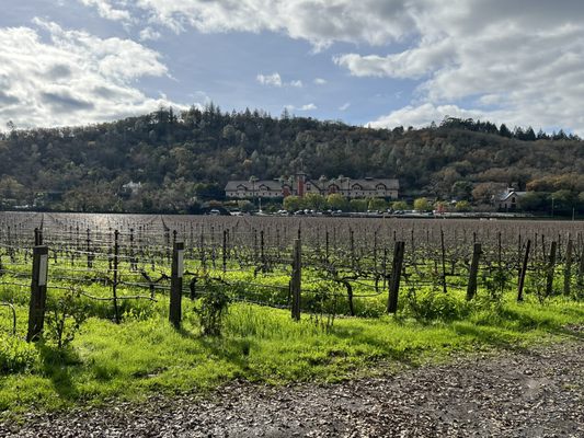 Charles Krug Winery by null