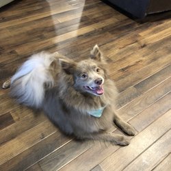 Quail Creek Kennel