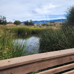 Ojai Meadows Preserve Trail - Pond