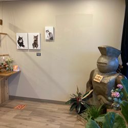 Meowdel Tea Studio - All about cats