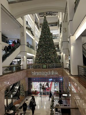 900 North Michigan Shops by null