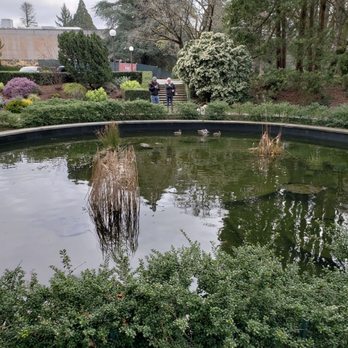 Volunteer Park - Duck's Wading - Parks Near Me - Seattle, Washington