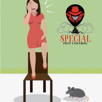Special Pest Control - Happy wife happy house! - Pest Control Near Me Special Pest Control - Happy wife happy house! - Pest Control Near Me