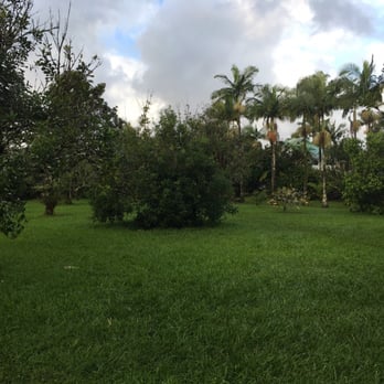 Lava Tree Tropic Inn - The awesome plants - Hotels Near Me - Pahoa, Hawaii Lava Tree Tropic Inn - The awesome plants - Hotels Near Me - Pahoa, Hawaii