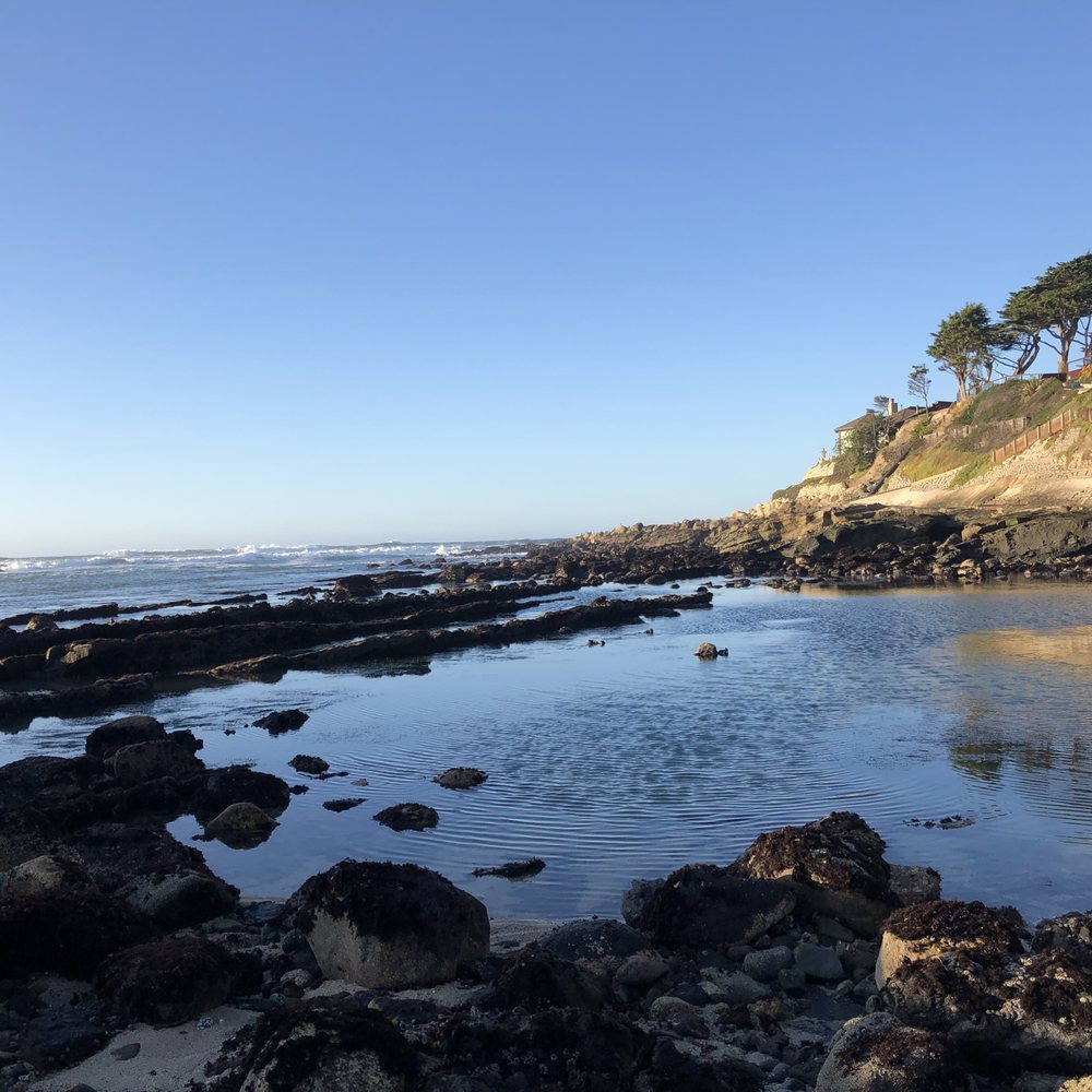Fitzgerald Marine Reserve - Parks Near Me - Moss Beach, California