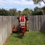 Photo of Forster Tree Service