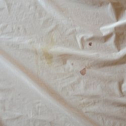 Rock Creek at The Park - Filthy sheets