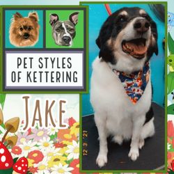 Pet Styles of Kettering - We've known Jake for many years and he is a salon favorite