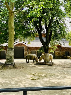 Zoo Antwerpen by null