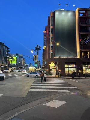 Amoeba Music by null