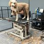 Photo of Fluff & Stuff Dog Grooming