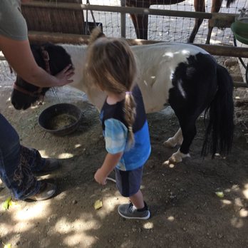 Blossom Peak Ranch - Vacation Rentals Near Me - Three Rivers, California Blossom Peak Ranch - Vacation Rentals Near Me - Three Rivers, California