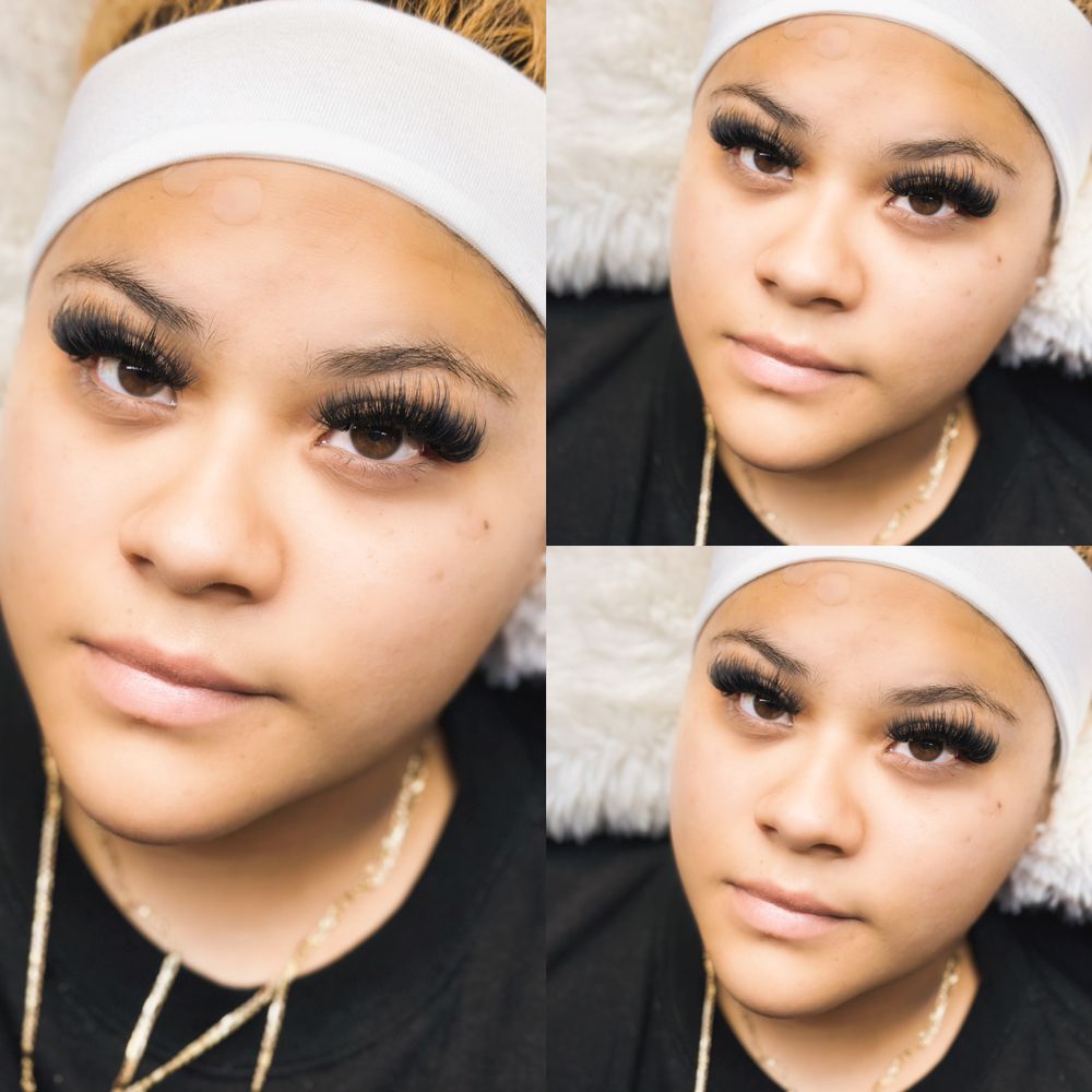 Premier lash studio Logo