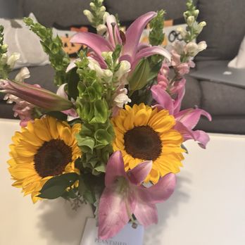 PlantShed - Florists Near Me - New York, New York PlantShed - Florists Near Me - New York, New York