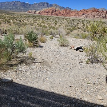Red Rock Canyon - Desert tortoise shelter - Hiking Near Me - Las Vegas, Nevada Red Rock Canyon - Desert tortoise shelter - Hiking Near Me - Las Vegas, Nevada
