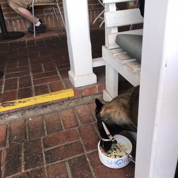 Shorehouse Kitchen - Pet friendly patio - Coffee & Tea Near Me - La Jolla, California Shorehouse Kitchen - Pet friendly patio - Coffee & Tea Near Me - La Jolla, California