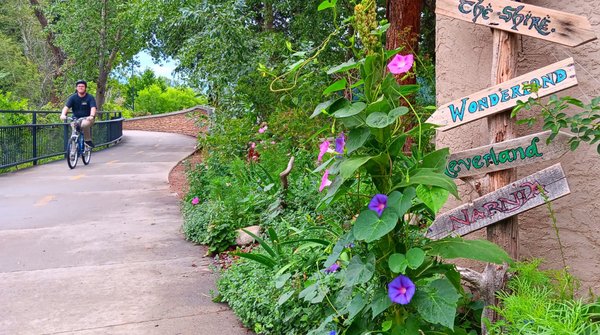 White Rabbit Books & Curiosities by null