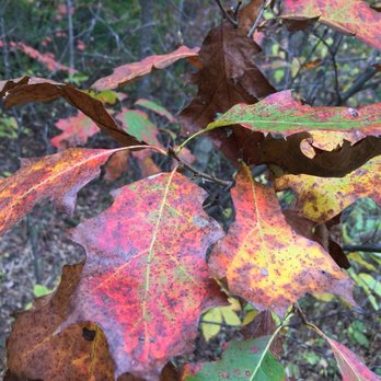Rice Creek North Regional Trail - Parks Near Me