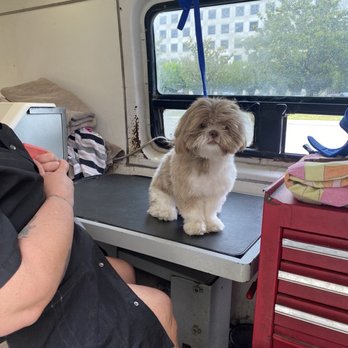 Mobile Grooming by Melissa - Pet Groomers Near Me - Irvine, California