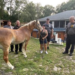 Moe, myself and Pasco Fire Department. My equine vet Cindy Daniels arrived within 10 minutes!