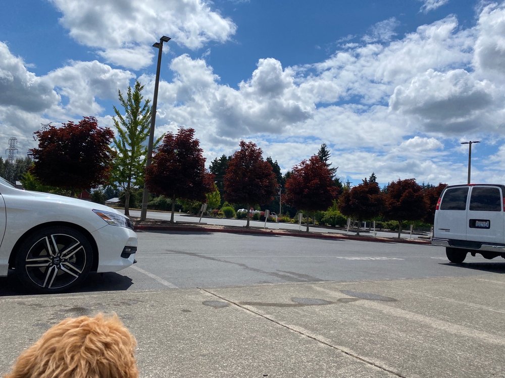 SERVICE CLUB COMMUNITY PARK & BALLFIELDS Updated September 2024 14608 SE 288th St, Kent