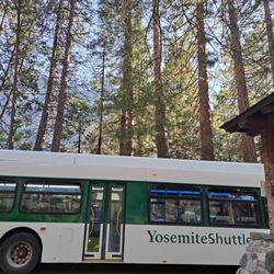 Yosemite Valley Shuttle