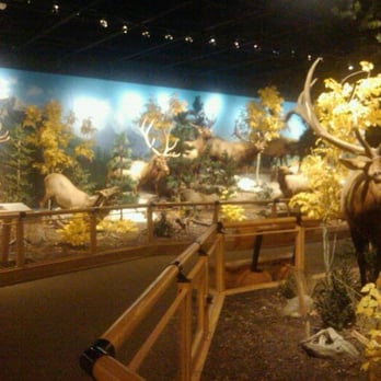 Cabela's - Outdoor Gear Near Me - Fort Worth, Texas