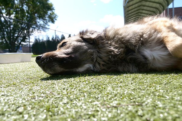 Now Boarding by null