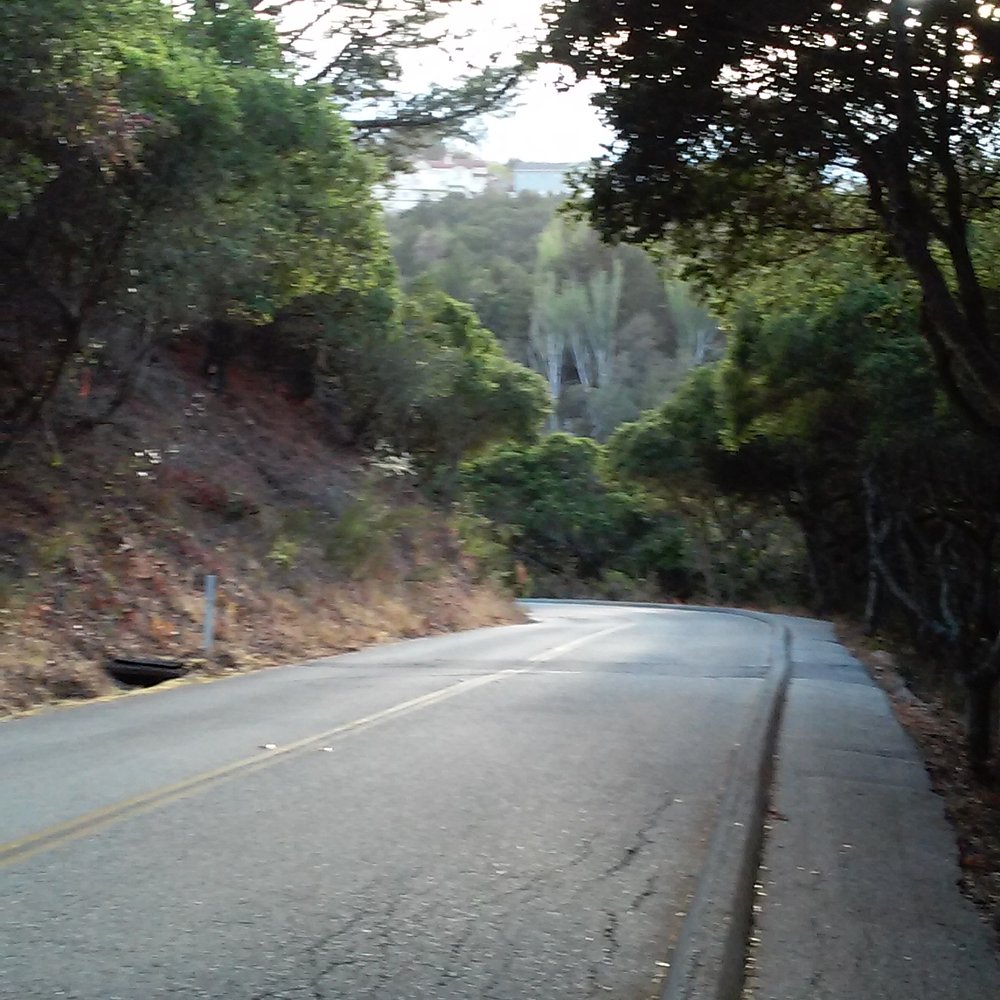 Junipero Serra Park - Road to Iris Point - Parks Near Me - San Bruno, California Junipero Serra Park - Road to Iris Point - Parks Near Me - San Bruno, California