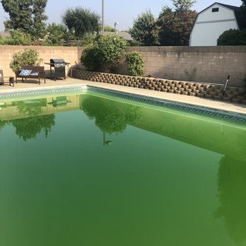 Lupool - Before - Pool Cleaners Near Me