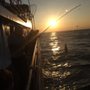 Photo of Jamaica II