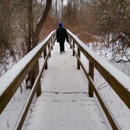 Beautiful late-afternoon winter wonderland walk in the woods with my mini-man today. #Buffalove