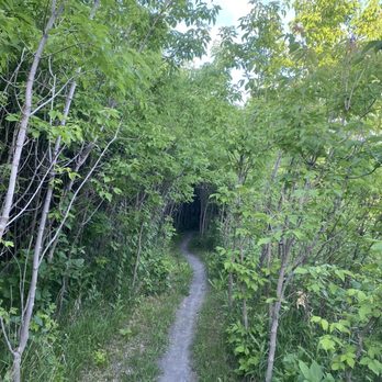 Forum Tower Loop Bike Trail - Mountain Biking Near Me - Fargo, North Dakota
