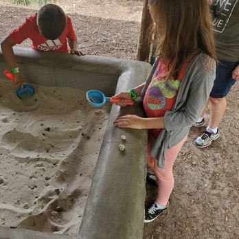 Dinosaur World - Fossil digging. - Museums Near Me - Cave City, Kentucky