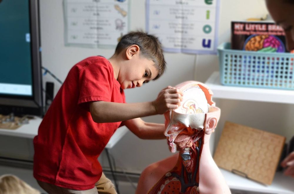 Mackintosh Academy - childcare center in Littleton, CO