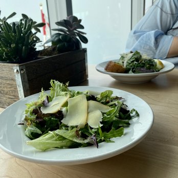 Northern Lights Alpine Kitchen - Alpine Salad (Pickled Blueberries, Applewood Smoked Cheddar, Barley, Arugula, Tuscan Lettuce, Honey Vinaigrette) - Buffets Near Me - Banff, Alberta