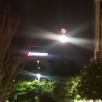 Hilton Franklin Cool Springs - Hotels Near Me - Franklin, Tennessee